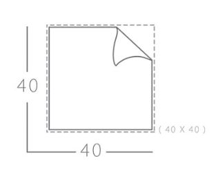 دستمال اتومبیل